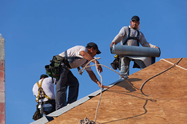 Best Roof Maintenance Services  in Bridgeport, WA