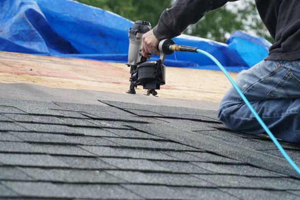 Sealant for Roof in Bridgeport, WA
